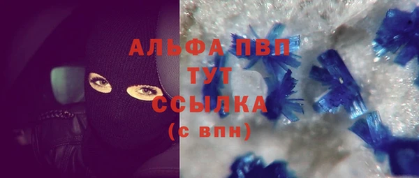 хмурый Абаза