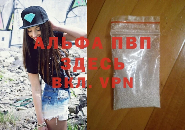 хмурый Абаза