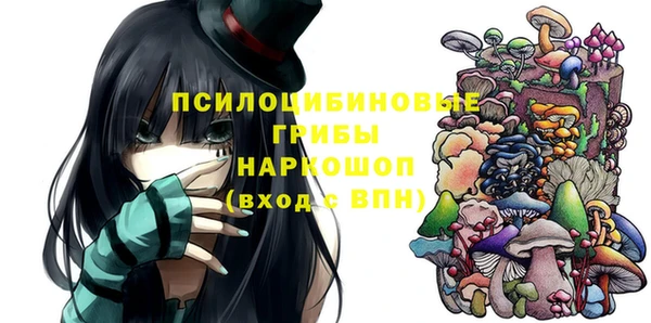 хмурый Абаза