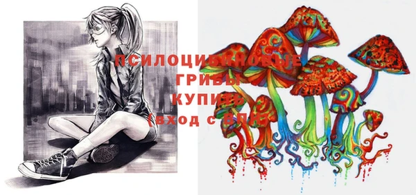 ПСИЛОЦИБИНОВЫЕ ГРИБЫ Абинск