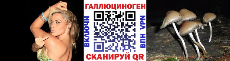 закладка  Ермолино  Псилоцибиновые грибы мухоморы 